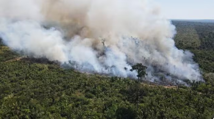 Foto: G1 Rondônia